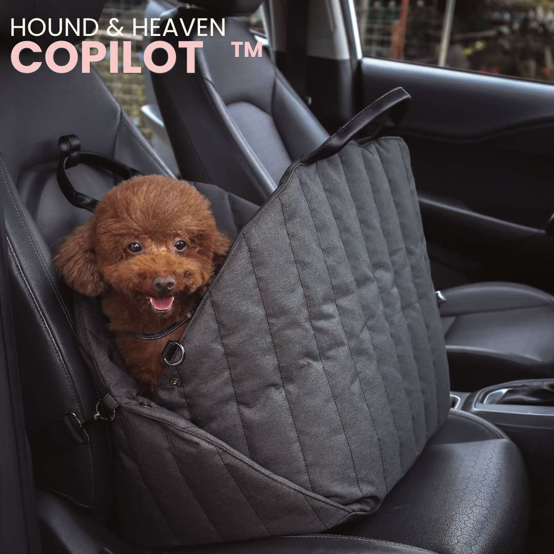 The Copilot™ smart pet car seat and carrier striped