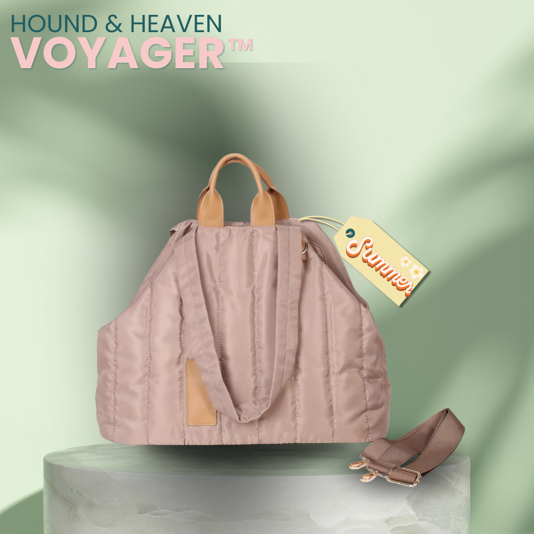 The Voyager™ smart pet carrier