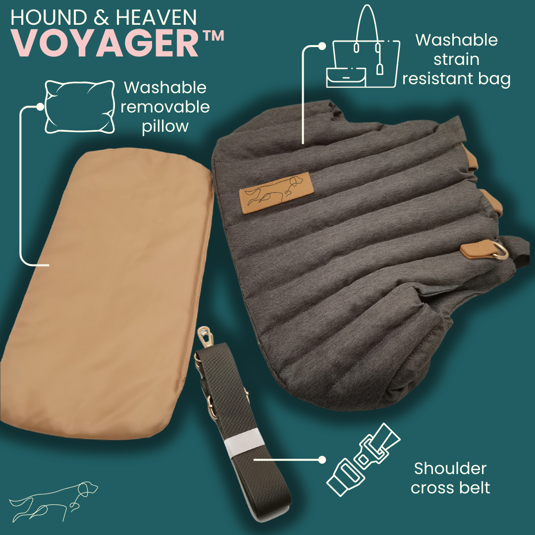 The Voyager™ smart pet carrier